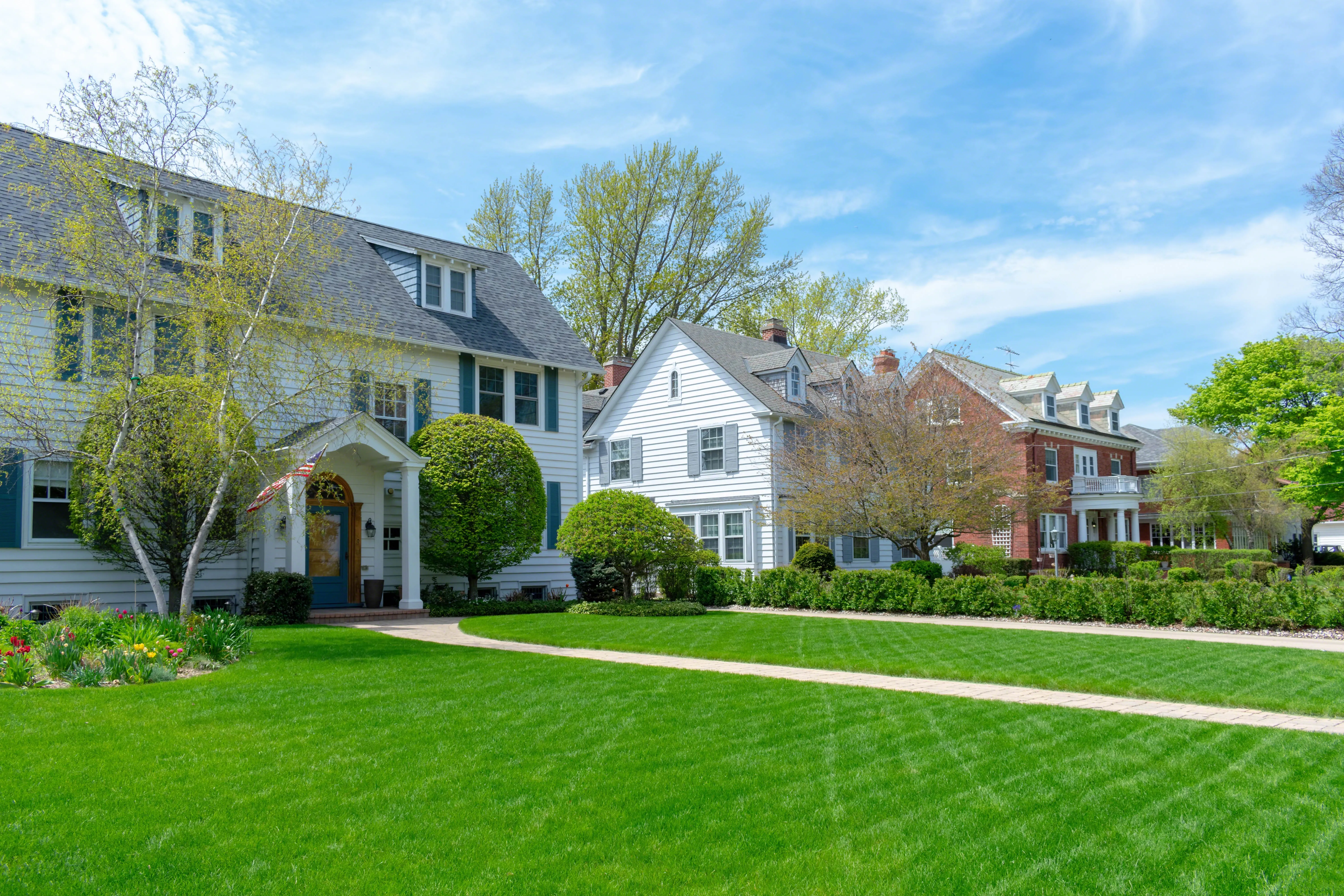 Green lawn in front of houses