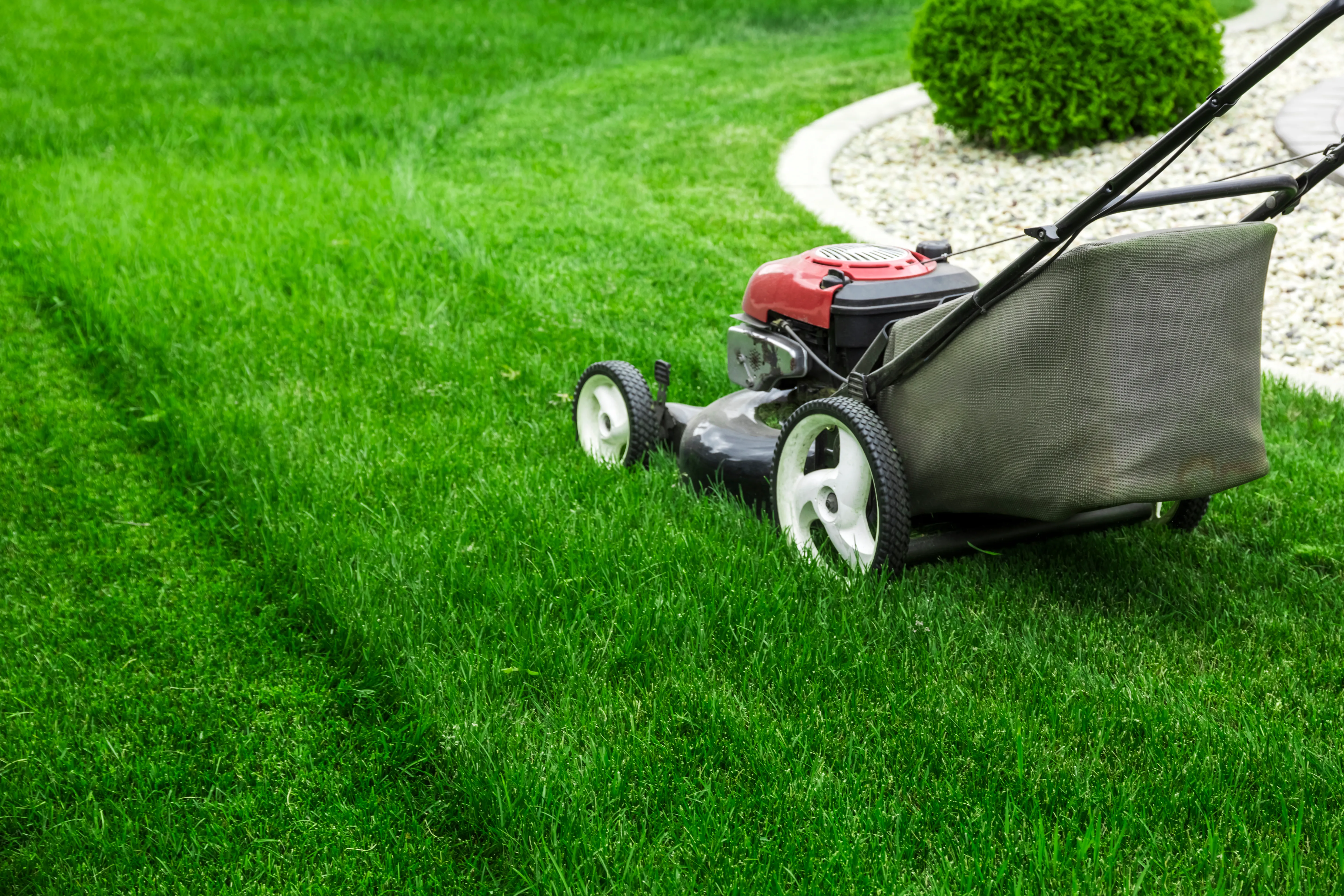 Push mower on a freshly cut lawn