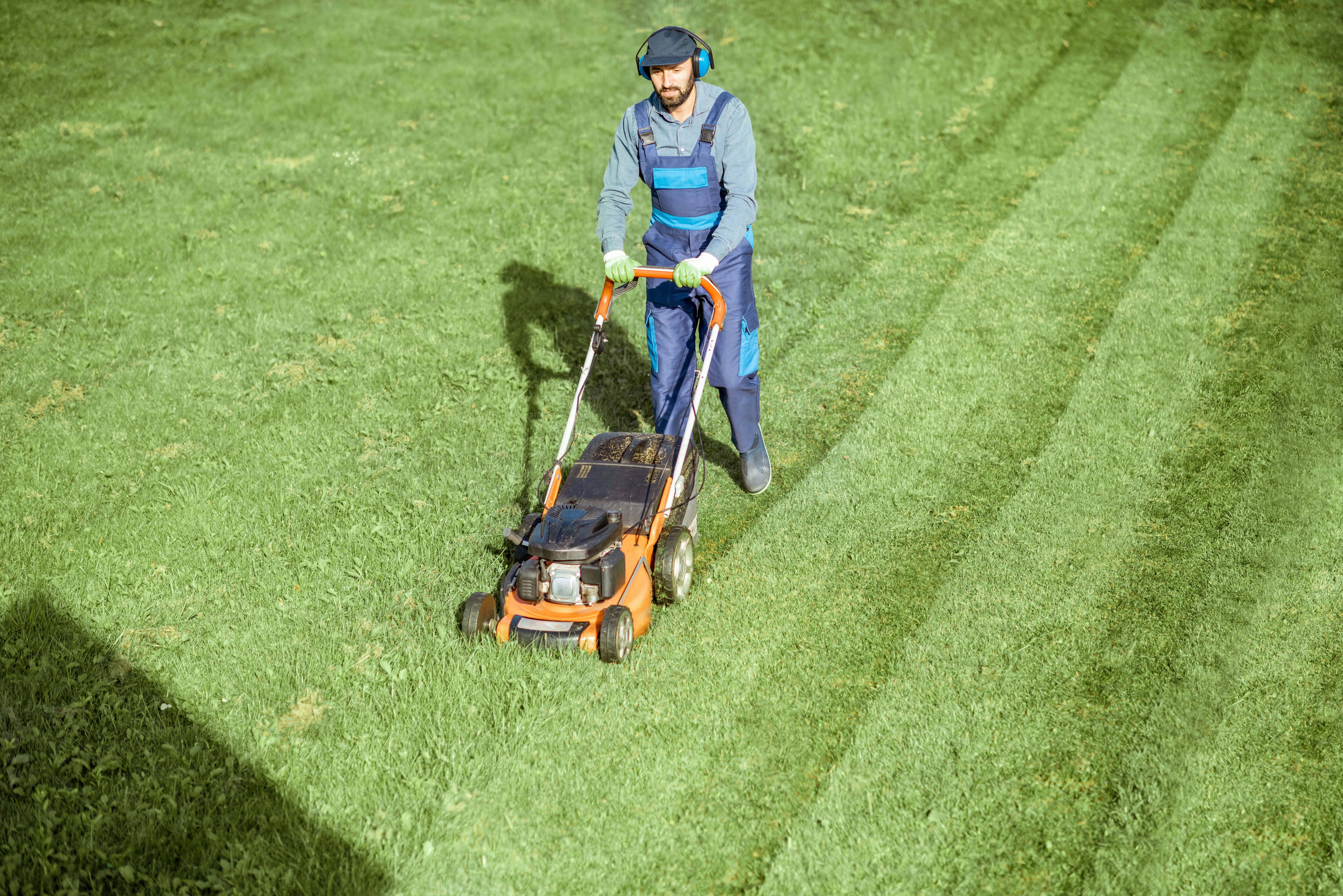 Crew member mowing stripes into a green lawn